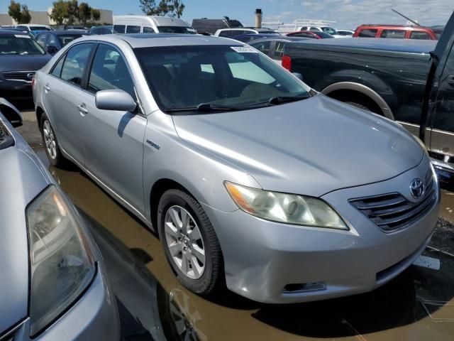 2008 Toyota Camry Hybrid