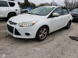 Salvage cars for sale at Madisonville, TN auction: 2013 Ford Focus SE