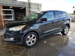 Salvage cars for sale at West Palm Beach, FL auction: 2015 Ford Escape SE