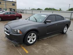 Dodge Charger salvage cars for sale: 2013 Dodge Charger SE