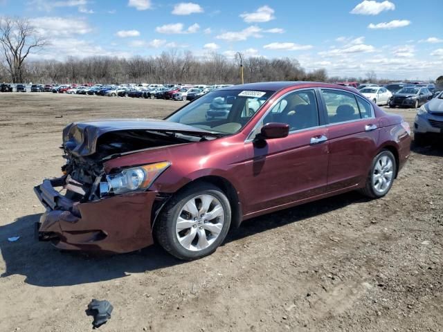 2008 Honda Accord EXL