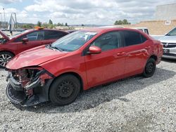 Vehiculos salvage en venta de Copart Mentone, CA: 2016 Toyota Corolla L