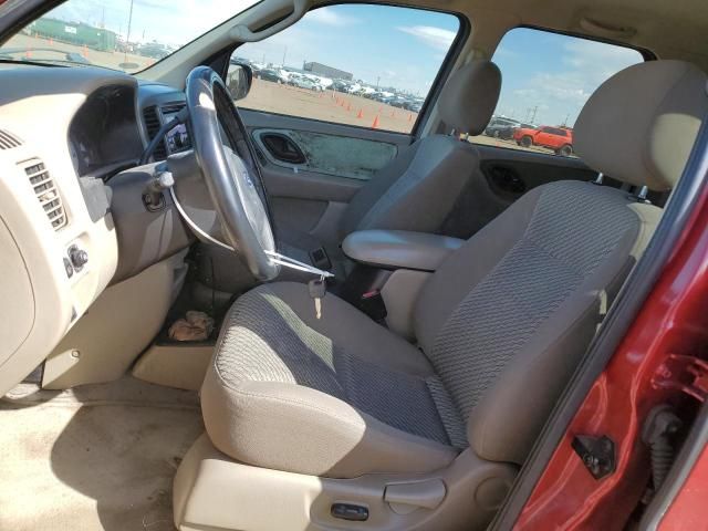 2004 Ford Escape XLT