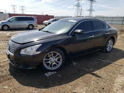 Salvage cars for sale at Elgin, IL auction: 2014 Nissan Maxima S