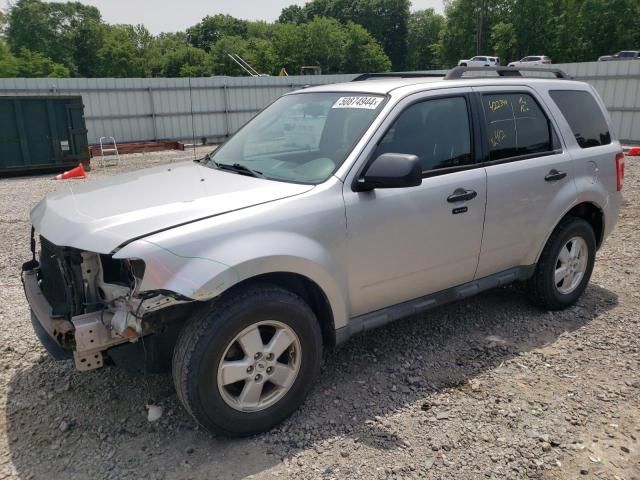 2010 Ford Escape XLT