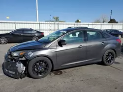 Ford Focus salvage cars for sale: 2016 Ford Focus SE