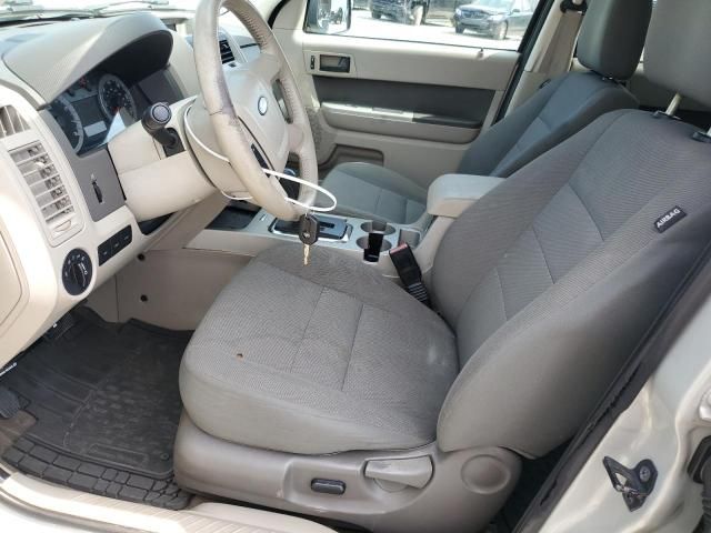 2009 Ford Escape XLT