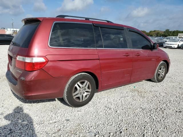 2005 Honda Odyssey EXL