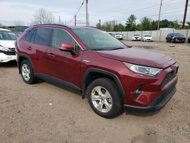 2020 Toyota Rav4 XLE