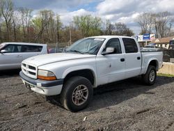 Salvage cars for sale at Finksburg, MD auction: 2003 Dodge Dakota Quad Sport