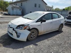 Salvage cars for sale at York Haven, PA auction: 2010 Toyota Prius