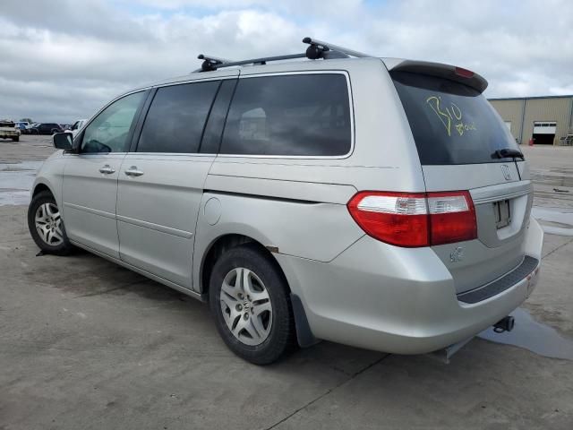 2005 Honda Odyssey EXL