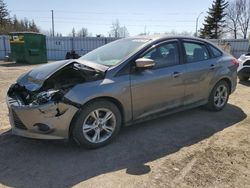 Salvage cars for sale from Copart Bowmanville, ON: 2013 Ford Focus SE