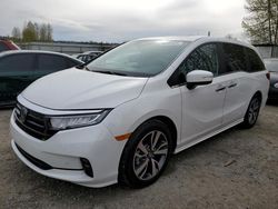 Salvage cars for sale from Copart Arlington, WA: 2023 Honda Odyssey Touring