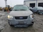 2005 Ford Escape XLT