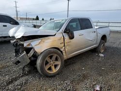 Dodge salvage cars for sale: 2009 Dodge RAM 1500