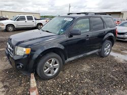 Vehiculos salvage en venta de Copart Temple, TX: 2012 Ford Escape XLT