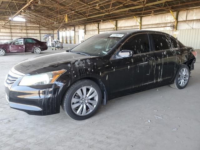 2011 Honda Accord EXL