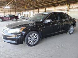Salvage cars for sale from Copart Phoenix, AZ: 2011 Honda Accord EXL