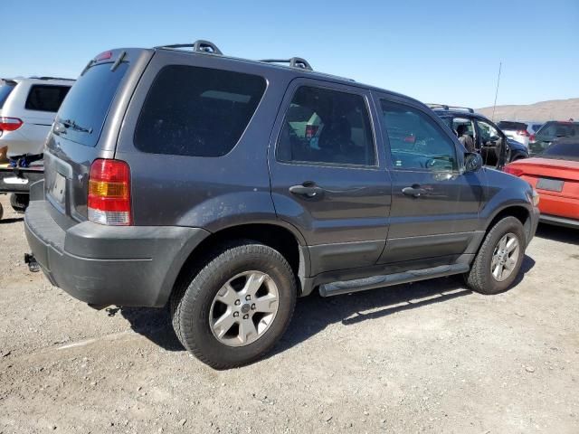 2005 Ford Escape XLT