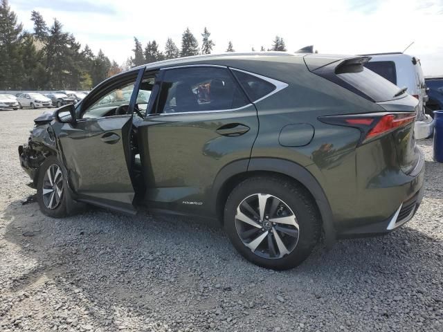 2021 Lexus NX 300H Base