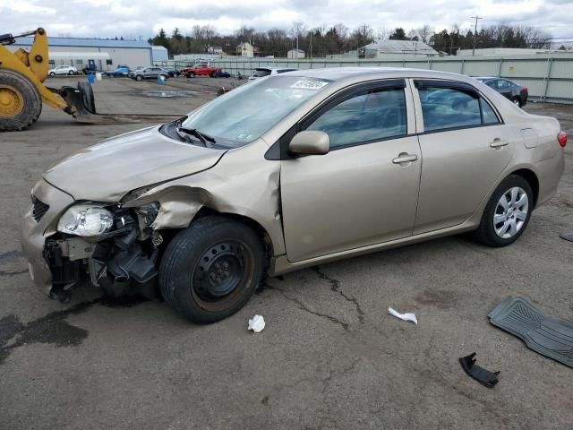 2010 Toyota Corolla Base