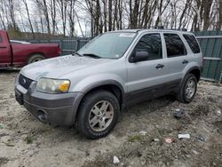 Salvage cars for sale at Candia, NH auction: 2005 Ford Escape XLT