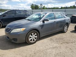 Salvage cars for sale from Copart Harleyville, SC: 2010 Toyota Camry Base