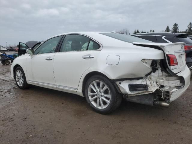 2010 Lexus ES 350