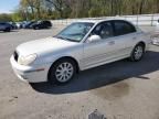 2002 Hyundai Sonata GLS