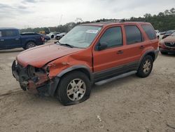 Salvage cars for sale at Greenwell Springs, LA auction: 2006 Ford Escape XLT