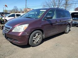Salvage cars for sale at New Britain, CT auction: 2007 Honda Odyssey EXL
