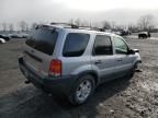 2002 Ford Escape XLT