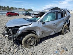 Toyota rav4 le salvage cars for sale: 2024 Toyota Rav4 LE