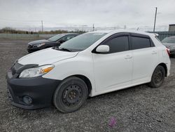 Salvage cars for sale from Copart Ontario Auction, ON: 2014 Toyota Matrix Base