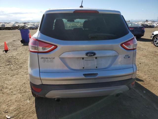 2013 Ford Escape SE