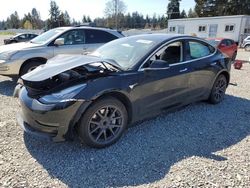 Vehiculos salvage en venta de Copart Graham, WA: 2019 Tesla Model 3