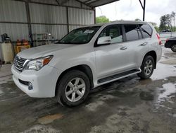 Salvage cars for sale from Copart Cartersville, GA: 2011 Lexus GX 460