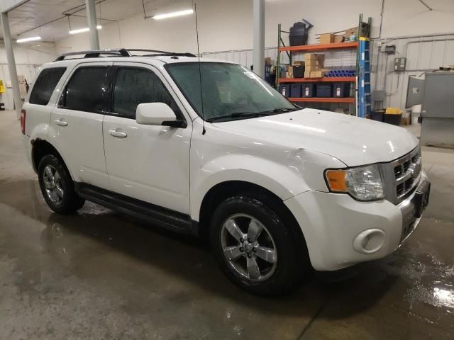 2009 Ford Escape Limited