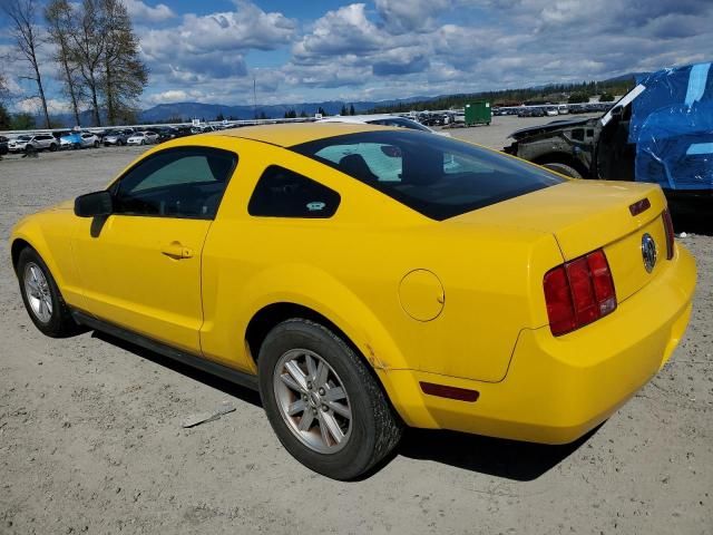 2005 Ford Mustang