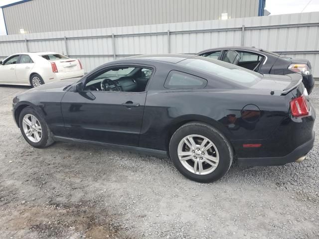 2012 Ford Mustang