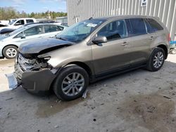 Salvage cars for sale at Franklin, WI auction: 2013 Ford Edge SEL