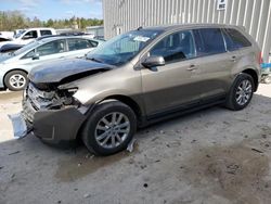 Ford Edge sel Vehiculos salvage en venta: 2013 Ford Edge SEL