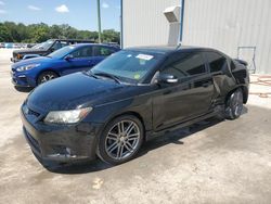 Salvage cars for sale at Apopka, FL auction: 2011 Scion TC