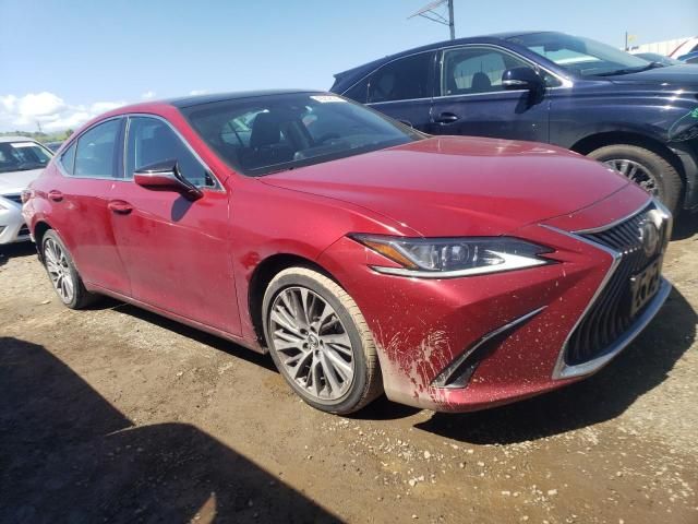 2019 Lexus ES 350