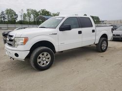 Vehiculos salvage en venta de Copart Spartanburg, SC: 2014 Ford F150 Supercrew