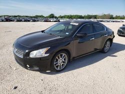 Vehiculos salvage en venta de Copart San Antonio, TX: 2010 Nissan Maxima S