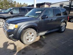 Ford Vehiculos salvage en venta: 2008 Ford Escape HEV