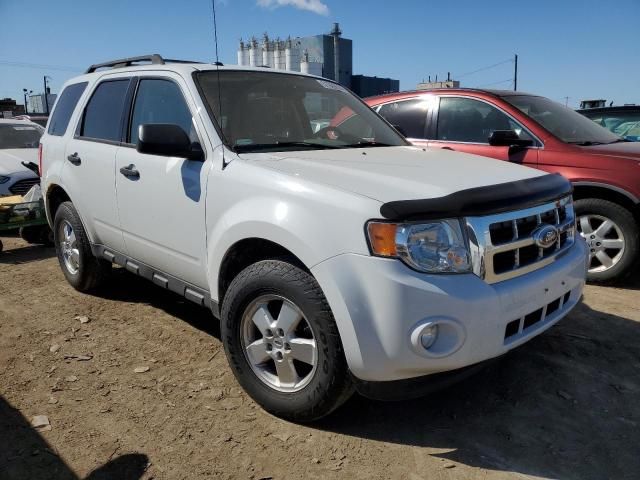 2012 Ford Escape XLT