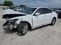 Salvage cars for sale from Copart Haslet, TX: 2010 Honda Accord EXL